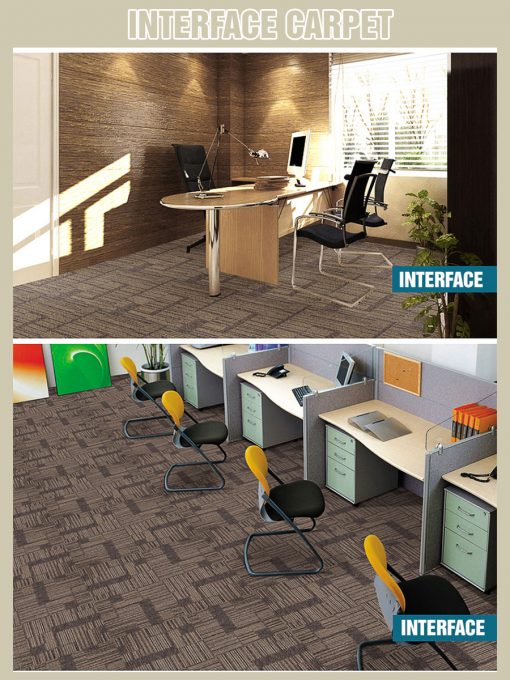 interface carpet 4