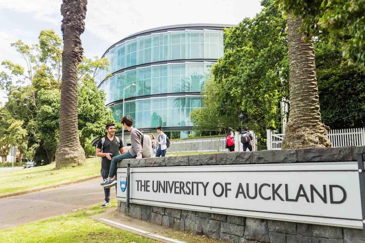 Du học New Zealand: Nhiều lựa chọn ngành Kỹ thuật - Ảnh 2.
