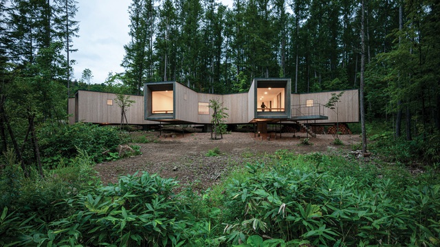 Nhà nghỉ dưỡng bằng gỗ ẩn mình giữa rừng cây ở Hokkaido, Nhật Bản - 2