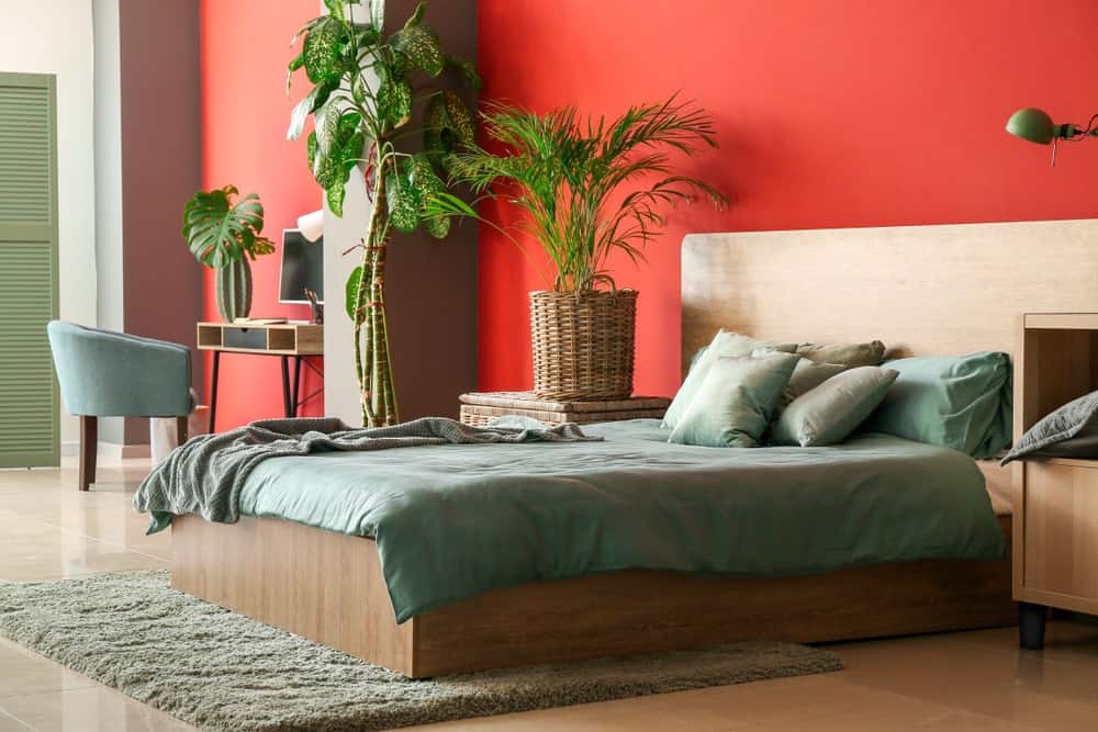 Mẫu 4: Bố trí thêm cây xanh cho phòng ngủ màu đỏ thêm thoáng đãng và thoải mái