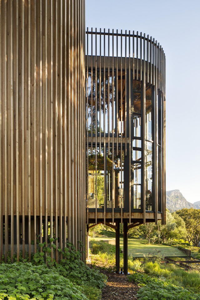Dinh thự phong cách safari sang trọng giữa rừng cây ở Nam Phi - 4
