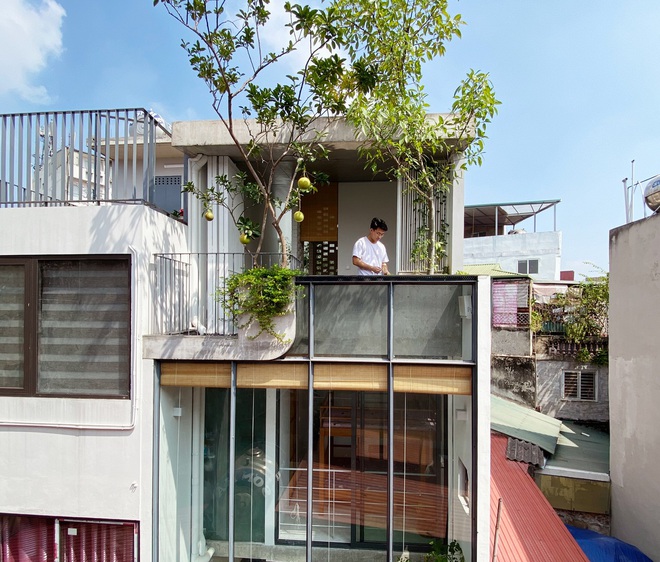 Ngôi nhà 24 m2 trong hẻm nhỏ Hà Nội vẫn thoáng gió và đầy cây xanh - 1