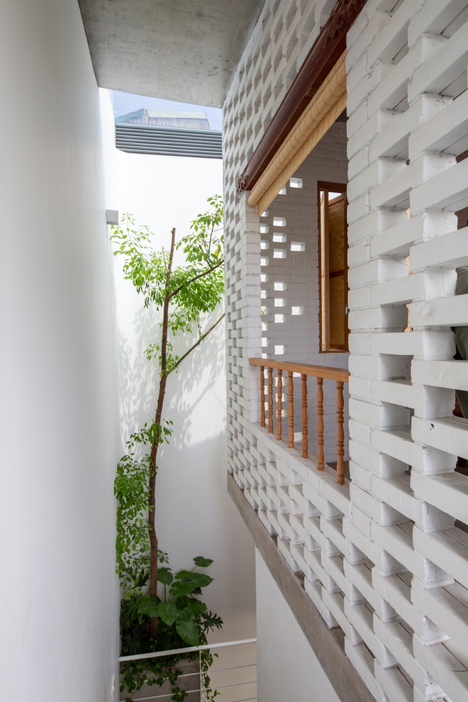 Ngôi nhà 24 m2 trong hẻm nhỏ Hà Nội vẫn thoáng gió và đầy cây xanh - 9