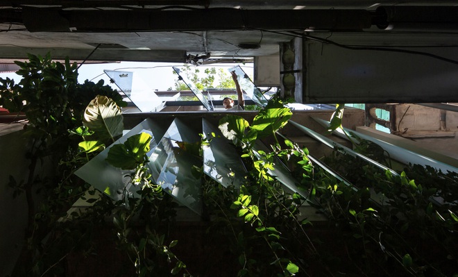 Ngôi nhà 24 m2 trong hẻm nhỏ Hà Nội vẫn thoáng gió và đầy cây xanh - 2
