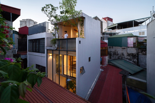 Ngôi nhà 24 m2 trong hẻm nhỏ Hà Nội vẫn thoáng gió và đầy cây xanh - 5
