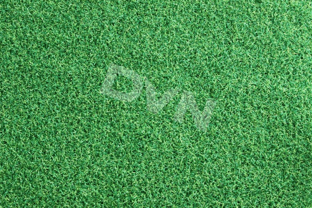 Mặt cỏ nhân tạo sân golf Thành Đạt G2